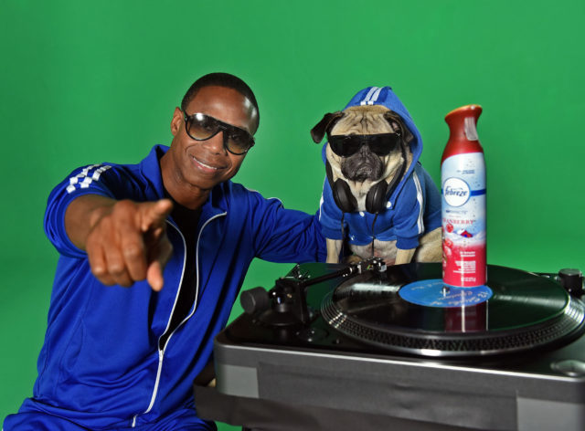 In this image distributed Thursday, Nov. 10, 2016 for Febreze, beatboxer Doug E. Fresh and Instagram star @ItsDougThePug pose on the New York set of their music video for the hip-hop remix of Febrezes second annual The #12Stinks of Christmas. Following the success of last years The #12Stinks of Christmas music video, this funky fresh remix is available now on YouTube.com/Febreze. Eliminate stinks in a merry way all season long with Febrezes limited-edition holiday offerings. (Photo by Diane Bondareff/Invision for Febreze/AP Images)