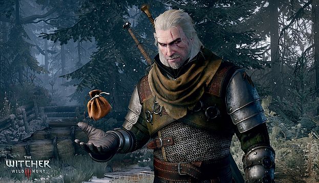 Warner Bros. Interactive The Witcher 3: Wild Hunt (PS4) 