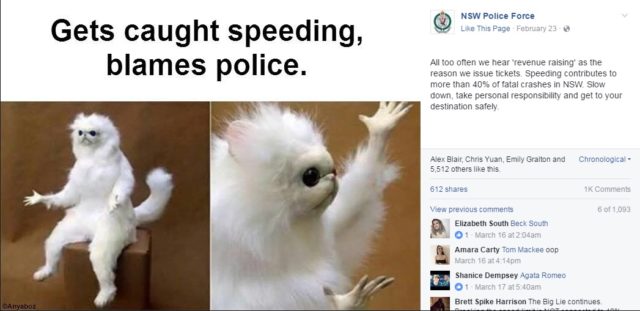 NSW police meme