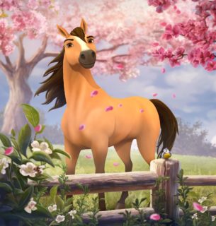 Capturando o spirit-StarStable 