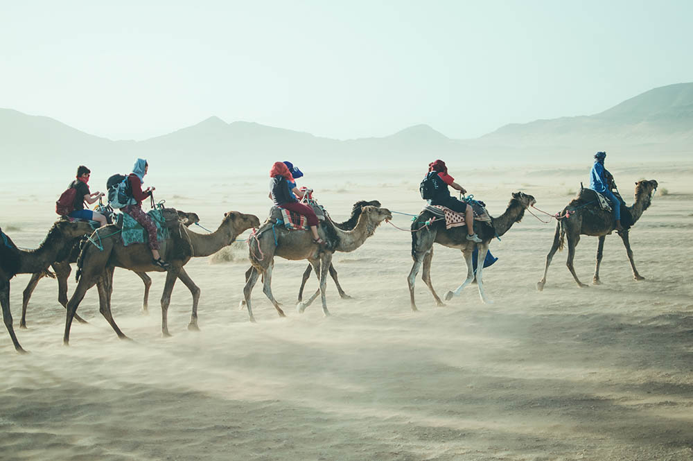 Vacationing group of people entertained by camel rides in Africa
