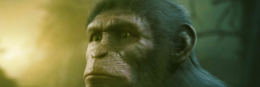 Ape close up