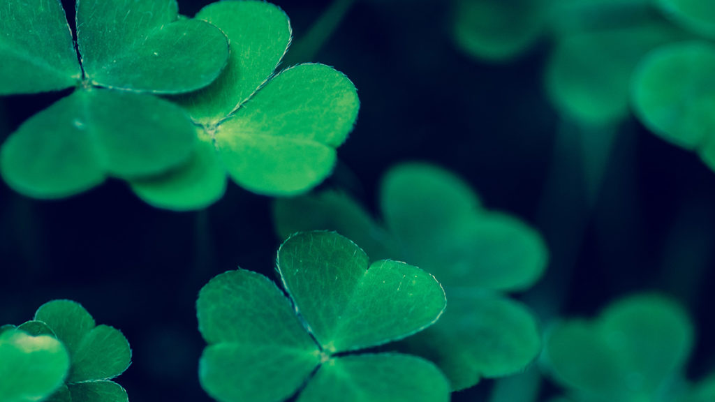 shamrocks
