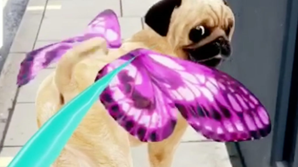 Snapchat Worldcup Snappable AR Lens Puggerfly football face-off game