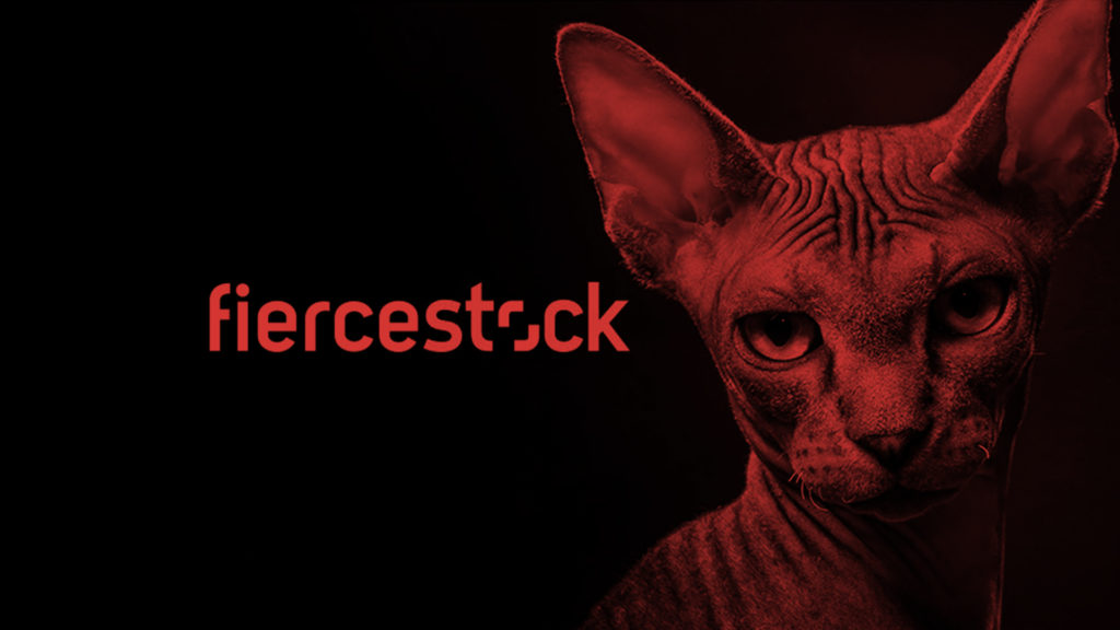 Shutterstock Launches 'It's Not Stock'; AList shares First Campaign In Six Years