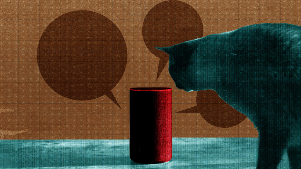 AList shares shopping via smart speakers to increase by 2021