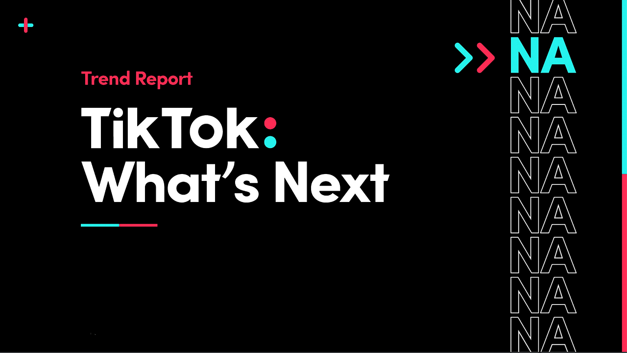 TikTok Shares Insight On Top 2020 Categories In 'What's Next' Report - Vimarsana News